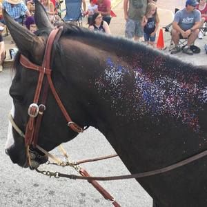 Meet your Posher, Susan